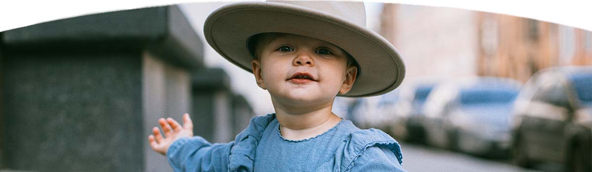 Stiftungsrat und Geschäftsstelle